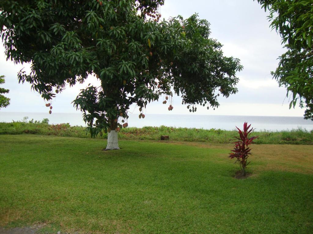 By The Sea Vacation Home And Villa Port Antonio Zimmer foto